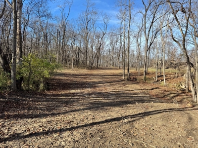 25 acres Bentonsport, IA FOR SALE! - image 17