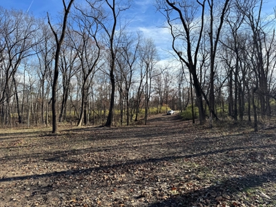 25 acres Bentonsport, IA FOR SALE! - image 5