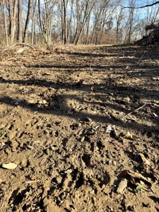 25 acres Bentonsport, IA FOR SALE! - image 12