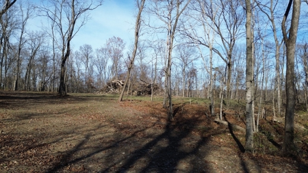 25 acres Bentonsport, IA FOR SALE! - image 18