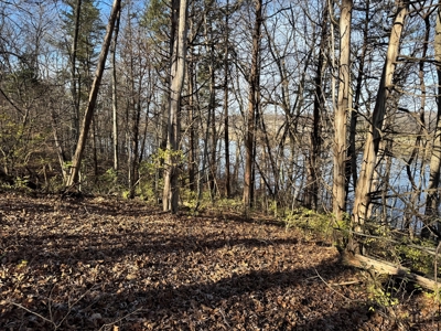 25 acres Bentonsport, IA FOR SALE! - image 8