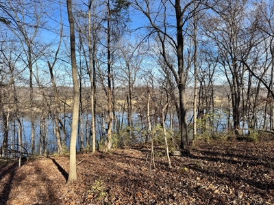 25 acres Bentonsport, IA FOR SALE! - image 9