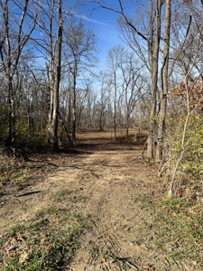 25 acres Bentonsport, IA FOR SALE! - image 3