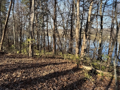 25 acres Bentonsport, IA FOR SALE! - image 7