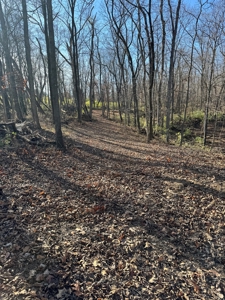 25 acres Bentonsport, IA FOR SALE! - image 10