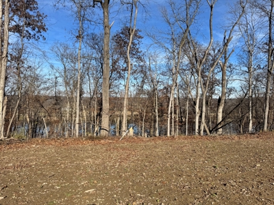 25 acres Bentonsport, IA FOR SALE! - image 13