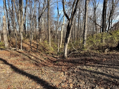 25 acres Bentonsport, IA FOR SALE! - image 16