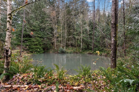 Charming Country Retreat – Privacy, Space and Modern Comfort - image 32