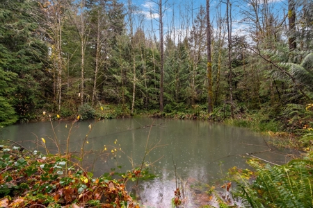 Charming Country Retreat – Privacy, Space and Modern Comfort - image 2