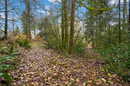 Charming Country Retreat – Privacy, Space and Modern Comfort - image 24