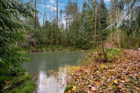 Charming Country Retreat – Privacy, Space and Modern Comfort - image 22