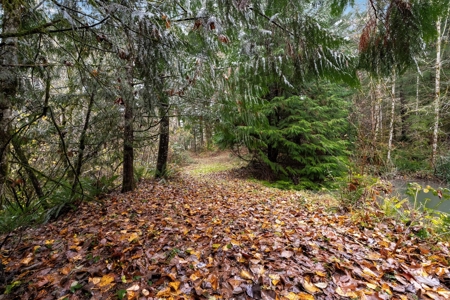 Charming Country Retreat – Privacy, Space and Modern Comfort - image 19