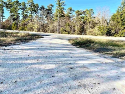 Business Opportunity-Tire shop for sale Viola Arkansas - image 26