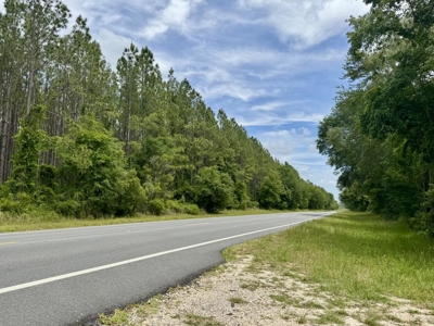 10 Acres in beautiful Gilchrist County - image 2