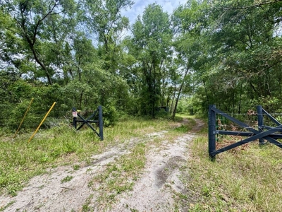10 Acres in beautiful Gilchrist County - image 3