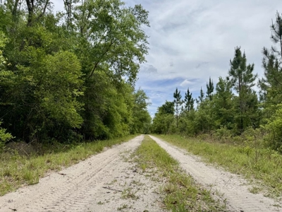 10 Acres in beautiful Gilchrist County - image 6