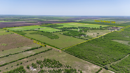 South Texas Ranch For Sale in Bee County Near Corpus Christi - image 5