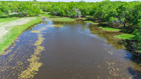 South Texas Ranch For Sale in Bee County Near Corpus Christi - image 19