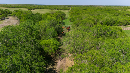 South Texas Ranch For Sale in Bee County Near Corpus Christi - image 26