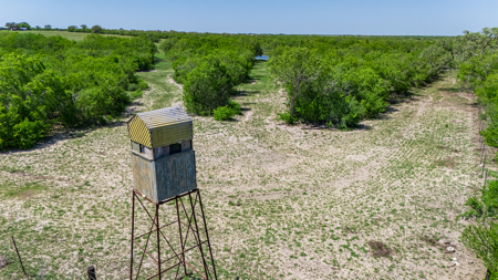 South Texas Ranch For Sale in Bee County Near Corpus Christi - image 13