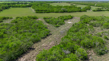 South Texas Ranch For Sale in Bee County Near Corpus Christi - image 16