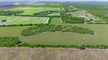 South Texas Ranch For Sale in Bee County Near Corpus Christi - image 7