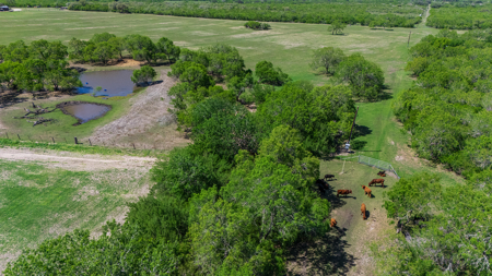 South Texas Ranch For Sale in Bee County Near Corpus Christi - image 21