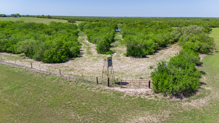 South Texas Ranch For Sale in Bee County Near Corpus Christi - image 12