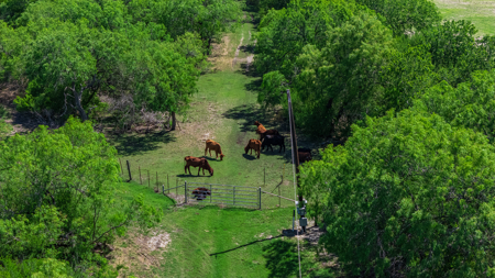 South Texas Ranch For Sale in Bee County Near Corpus Christi - image 18