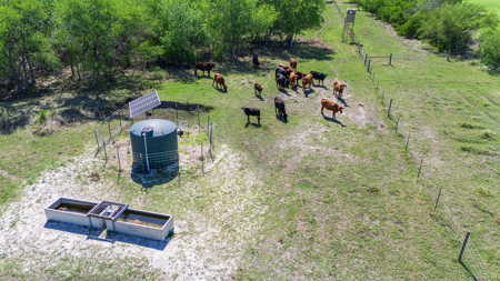 South Texas Ranch For Sale in Bee County Near Corpus Christi - image 27
