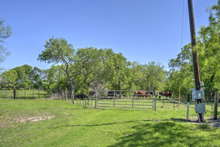 South Texas Ranch For Sale in Bee County Near Corpus Christi - image 48