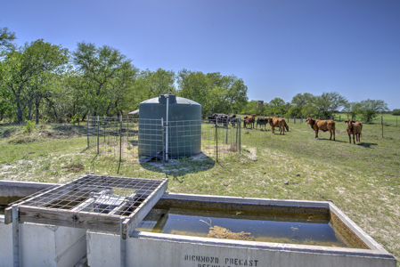 South Texas Ranch For Sale in Bee County Near Corpus Christi - image 47