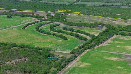 South Texas Ranch For Sale in Bee County Near Corpus Christi - image 6