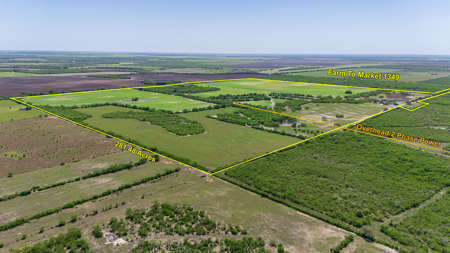 South Texas Ranch For Sale in Bee County Near Corpus Christi - image 8