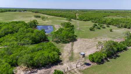 South Texas Ranch For Sale in Bee County Near Corpus Christi - image 15