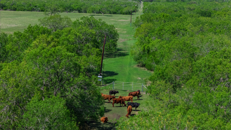 South Texas Ranch For Sale in Bee County Near Corpus Christi - image 24