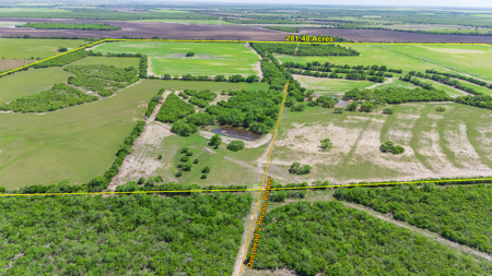 South Texas Ranch For Sale in Bee County Near Corpus Christi - image 4