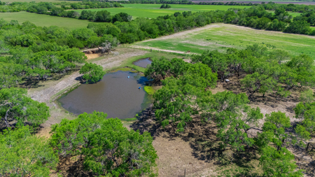 South Texas Ranch For Sale in Bee County Near Corpus Christi - image 22
