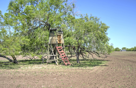 South Texas Ranch For Sale in Bee County Near Corpus Christi - image 38