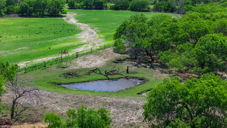 South Texas Ranch For Sale in Bee County Near Corpus Christi - image 20