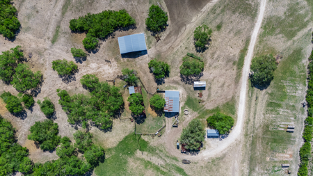 South Texas Ranch For Sale in Bee County Near Corpus Christi - image 29