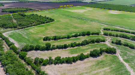 South Texas Ranch For Sale in Bee County Near Corpus Christi - image 17