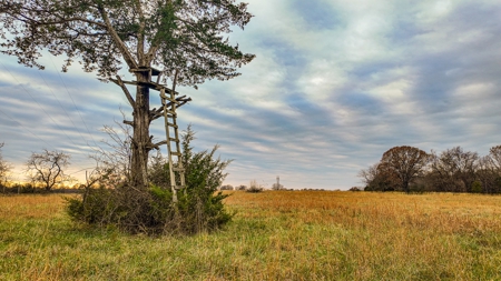 Land for sale St. Clair County MO - image 13