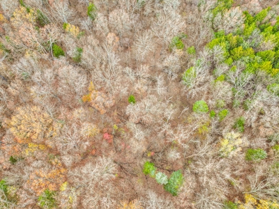 Land for sale St. Clair County MO - image 37