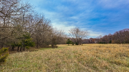 Land for sale St. Clair County MO - image 25