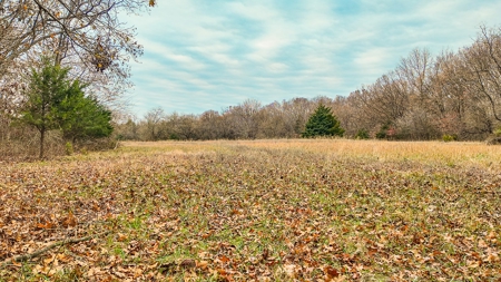 Land for sale St. Clair County MO - image 6