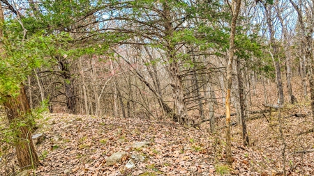 Land for sale St. Clair County MO - image 22