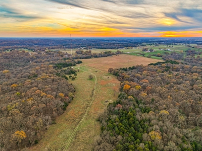 Land for sale St. Clair County MO - image 40