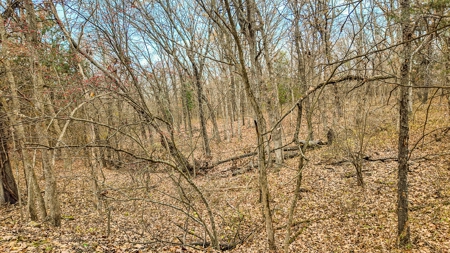 Land for sale St. Clair County MO - image 23