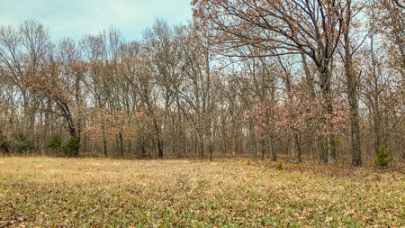 Land for sale St. Clair County MO - image 7